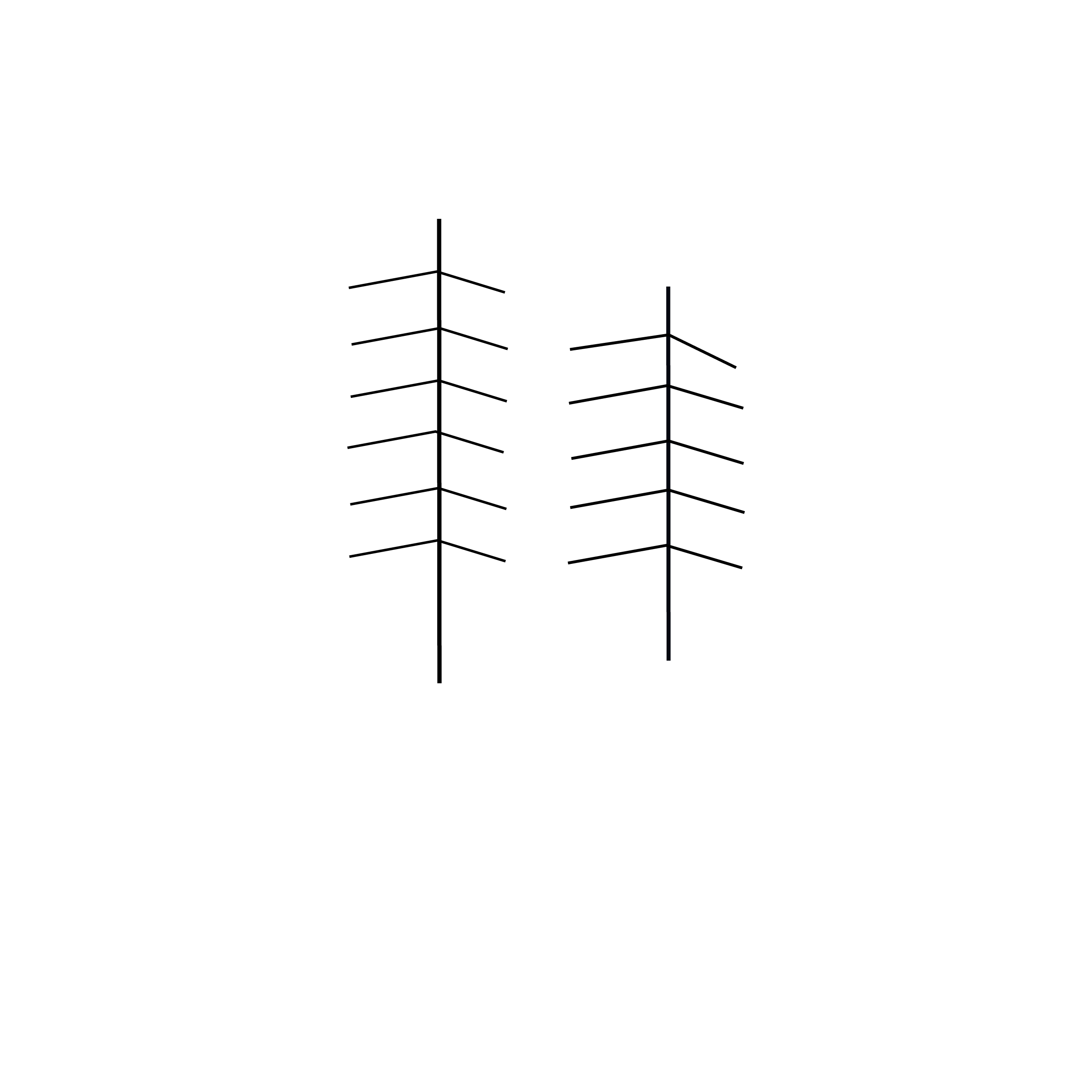 HSBD